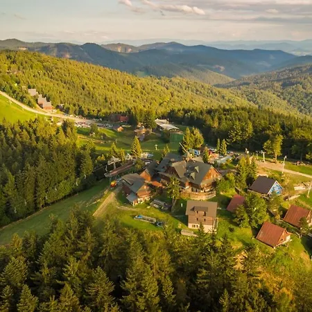 Wellness Kohutka ليزي بود ماكيتو